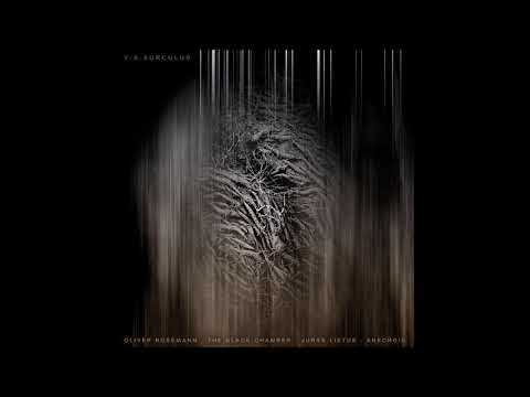 Juras Lietus - YYYY (KSQ-067)