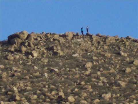 Recuerdos Y Dolor - Roy Y Los Gentiles