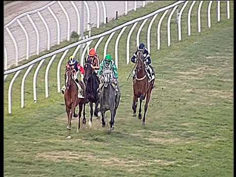 Galoppo 08/01/2020 - 4ª corsa