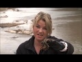 Sergeant Major Ruthie Gives A Block Of Instruction On Entomophagy