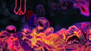 SPINDRIFT: The Isle of Lost Souls (Halloween Mix)