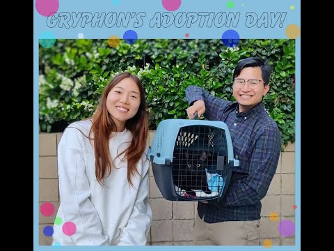 Gryphon's Adoption!!