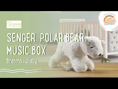 Senger Polar bear Music box