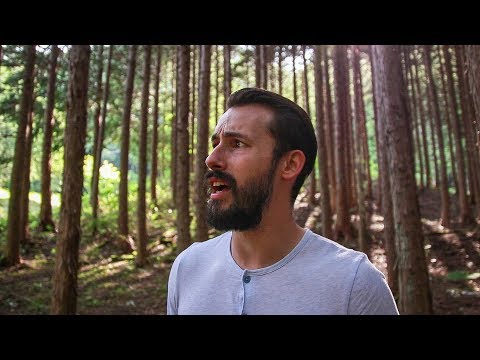 日本での大冒険の始まり (The Start of a Big Adventure in Japan)