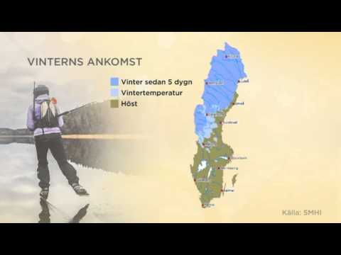 "Höst i söder och vinter i norr" - Nyhetsmorgon (TV4)