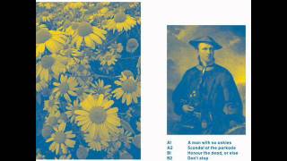 Owen Pallett - Don't Stop