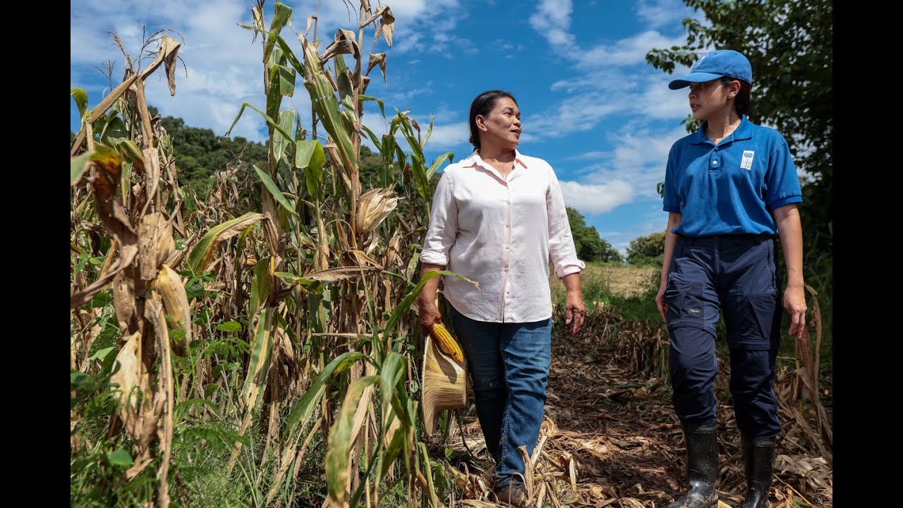 Thailand’s Maize Farmers Build Climate Resilience