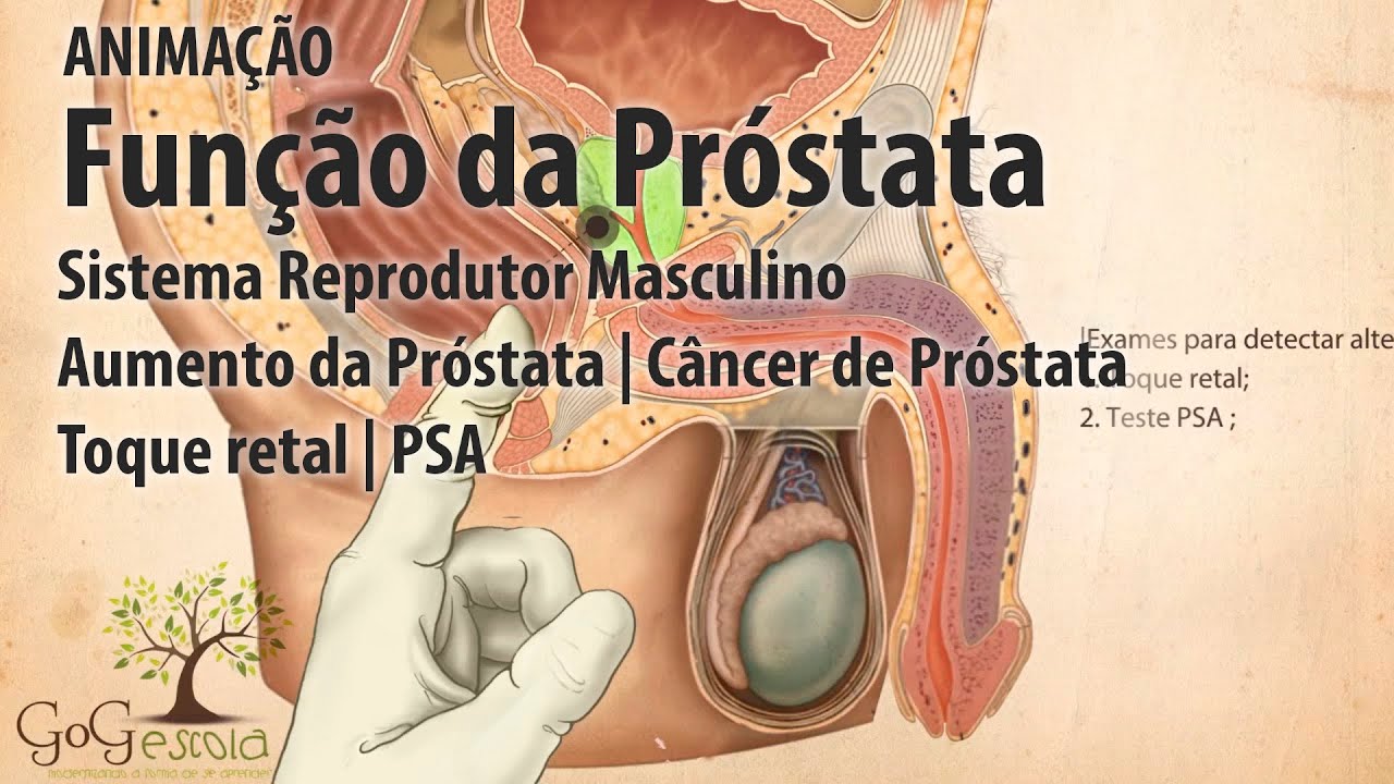 Sistema Reprodutor Masculino - A Próstata  - HPB, Câncer de Próstata - Toque retal e PSA