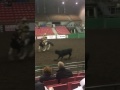 Barney 2016 Ranch Horse