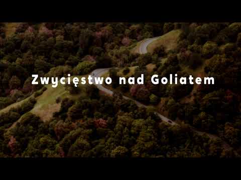 Zwycięstwo nad Goliatem - Ewa Kamińska