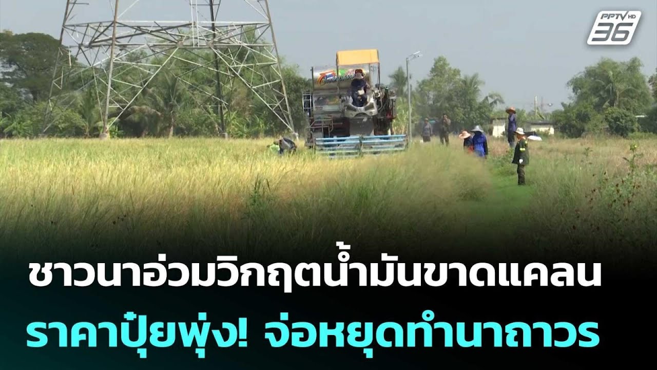 ชาวนาอ่วมวิกฤตน้ำมันขาดแคลน-ราคาปุ๋ยพุ่ง! จ่อหยุ?