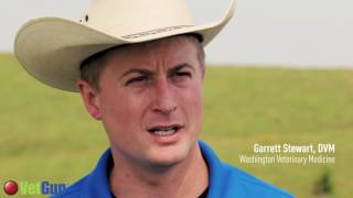 DocTalk - Warts and Ringworm in Cattle - August 1, 2016