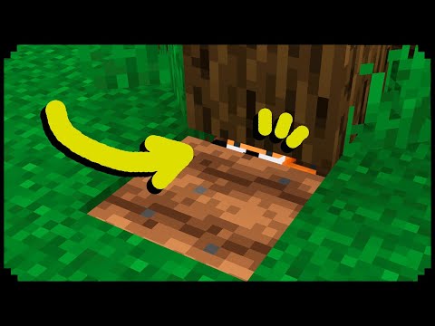 Minecraft Secret Tree Passage Trick!