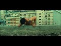 District B13 Movie Best Parkour Scene