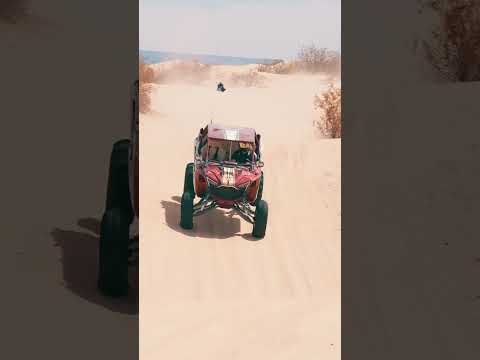 Is the RZR Pro R Ultimate the King of Glamis? | MTS Off-Road Suspension Tuning