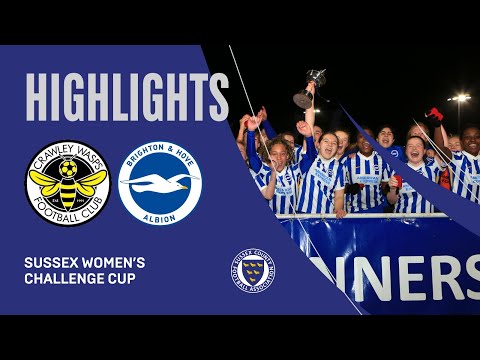 Crawley Wasps vs. Brighton & Hove Albion - 23-02-22