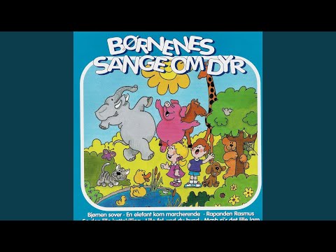 Mariehønen evigglad