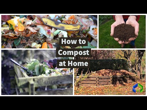How to Compost | Realty Sage's 5 Tips in Under 5 Minutes | Reduce Your Food Waste