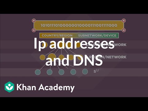 dns