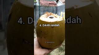 Download lagu waspada yang punya penyakit ini jangan minum air kelapa #waspada #airkelapa #efeksamping #penyakit mp3