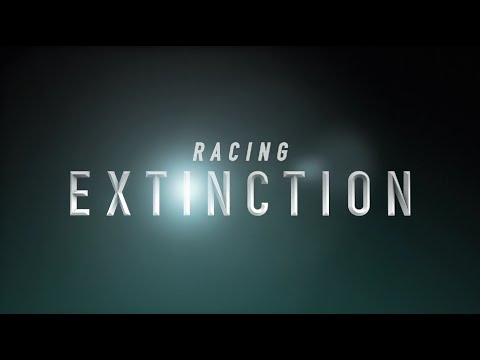 Racing Extinction (Festival Trailer)