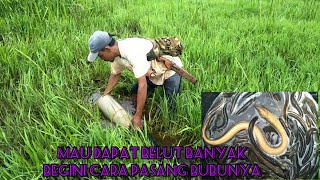 Download lagu THE BEST BAIT AND HOW TO SET UP AN EEL TRAP TO GET LOTS LIKE THIS mp3