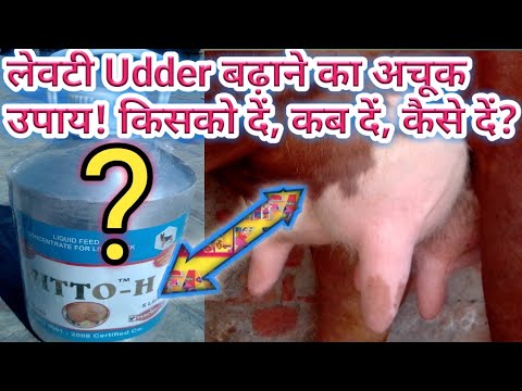 Use of vitamin vitum h