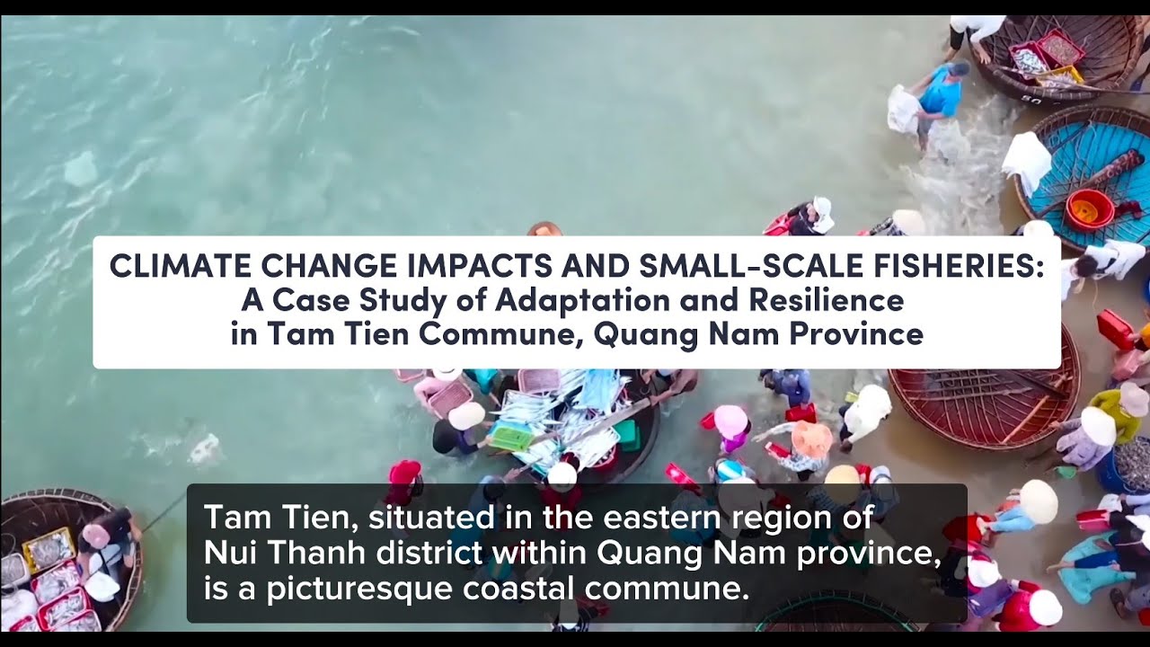 Climate Change Impacts and Small-scale Fisheries: A Case Study of Adaptation and Resilience, Vietnam