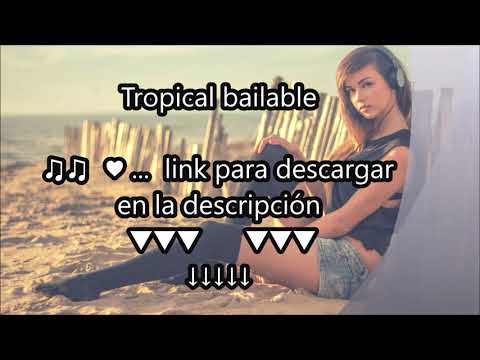 El Amor Que Soñe Rikarena (Letra)