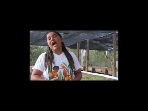https://www.youtube.com/shorts/MwzF-sCLvn8