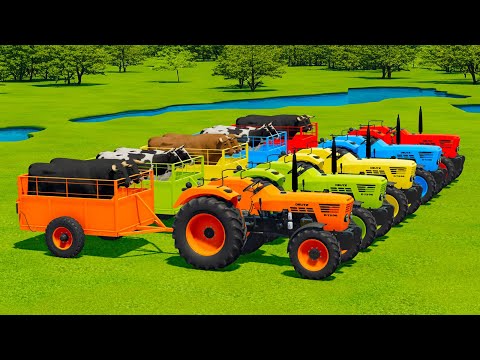 TRANSPORTING COWS, BULLS, COLORED DEUTZ FAHR & RIGI TRAC TRACTORS WITH MAN TRUCKS - FS22