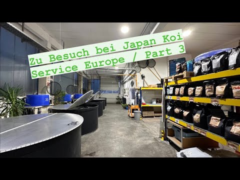 Japan Koi Service Europe! Ein Einblick in Matthew‘s Aufzucht Projekt sowie Futtermittel Vertrieb!