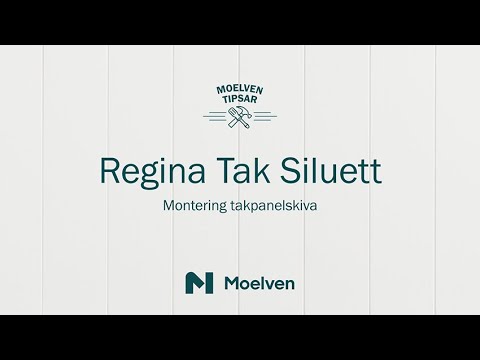 Takskiva Moelven Regina Tak Siluett