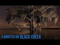 Bigfoot on Black Creek Mississippi - Marathon 135