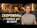 Скорпионы Октябрь: Тайминг и Главы Видео — 1 шаг может изменить жизнь
