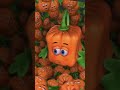 Look At Spookley Spookleyseason Spookleythesquarepumpkin Spookley