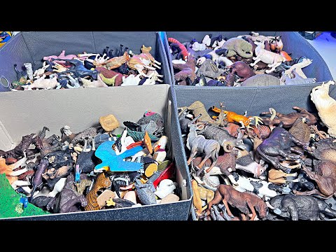 500 Animals - Farm Animals, Primates, Birds, Dogs, Cats, Asian Animals, Monkey, Pig, Donkey, Cow