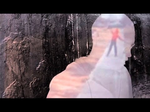 The Delphines - Screen Door (Official Video)