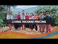 Living Income Pricing - Impact at Bellwether