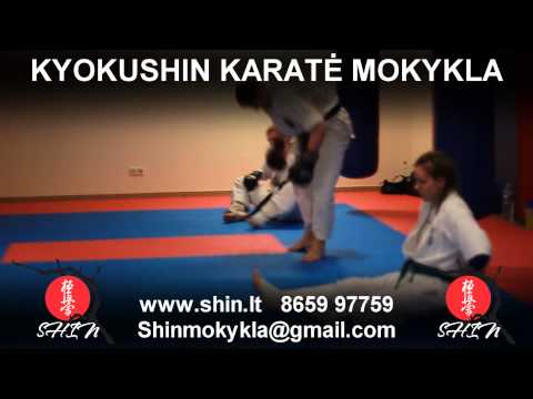 Vilniaus Kyokushin Karate Mokykla SHIN