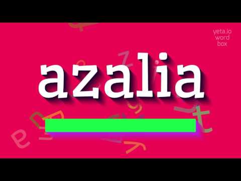 How to say "azalia"! (High Quality Voices)