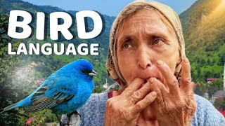 They Don't Talk, They Whistle (Bird Language)