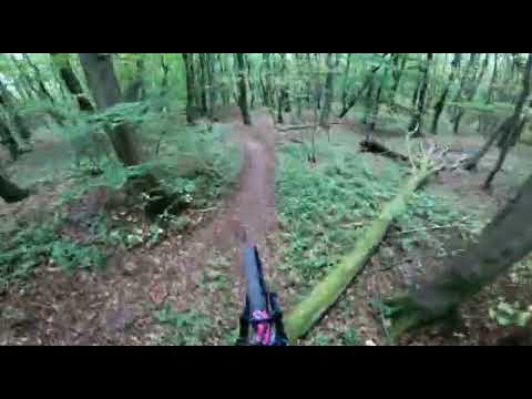 Moltkewarte Endurostrecke 2021