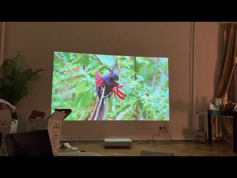 INSANE LSP7T Samsung Review!! HIGH CONTRAST HIGHLY RECOMMENDED