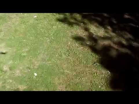 Santa Rita 26-10-15 - Syma x5