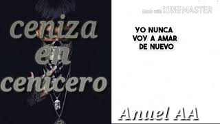 Anuel AA ceniza en cenicero