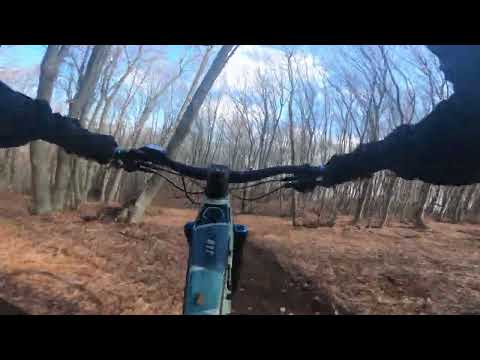 Χορτιάτης (Πέταλο)