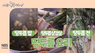 [나는농부다 238회] 땅두릅 요리 대 잔치! 땅두릅건나물밥 땅두릅삼겹살 땅두릅전