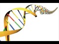 That Spells DNA by Jonathan Coulton 