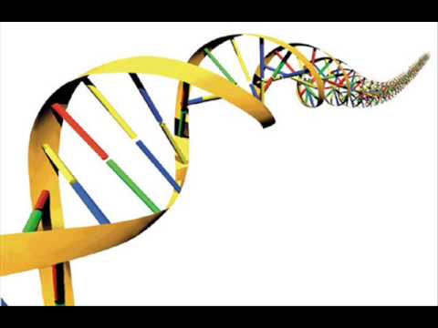That Spells DNA by Jonathan Coulton